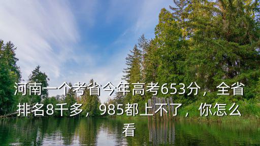 河南一個考省今年高考653分，全省排名8千多，985都上不了，你怎么看