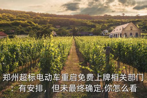鄭州怎么給電動車辦證,在鄭州給電動車上牌