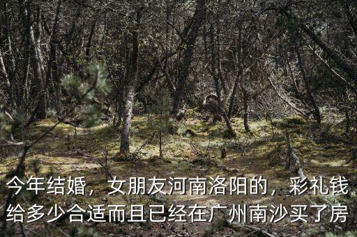 今年結(jié)婚，女朋友河南洛陽(yáng)的，彩禮錢給多少合適而且已經(jīng)在廣州南沙買了房