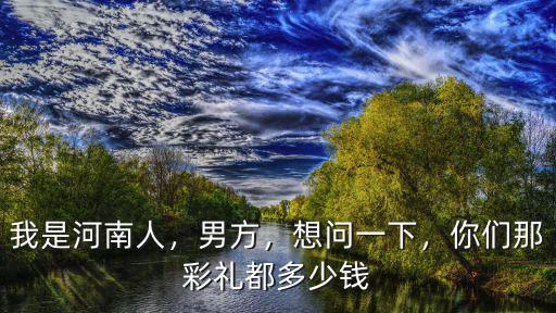我是河南人，男方，想問一下，你們那彩禮都多少錢