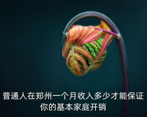 普通人在鄭州一個月收入多少才能保證你的基本家庭開銷