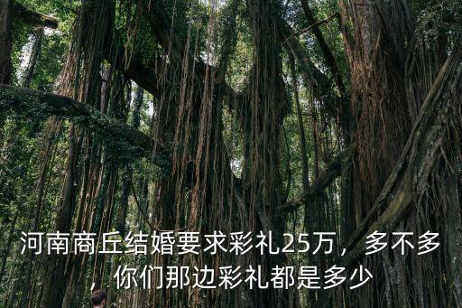 河南商丘結(jié)婚要求彩禮25萬(wàn)，多不多，你們那邊彩禮都是多少