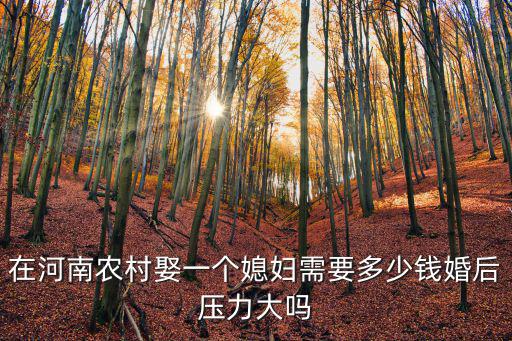 在河南農(nóng)村娶一個媳婦需要多少錢婚后壓力大嗎