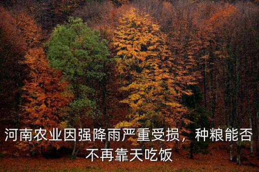 河南農業因強降雨嚴重受損，種糧能否不再靠天吃飯