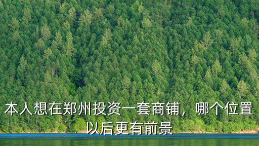 本人想在鄭州投資一套商鋪，哪個位置以后更有前景