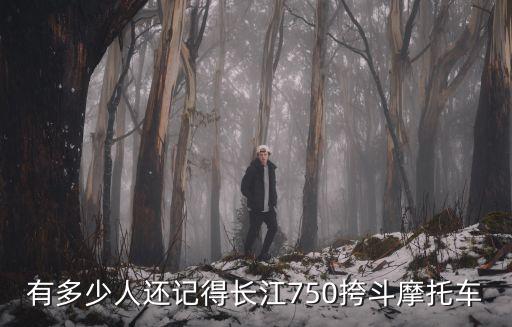 有多少人還記得長江750挎斗摩托車
