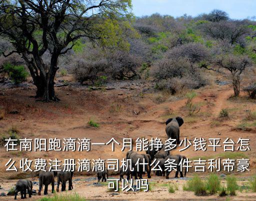 在南陽跑滴滴一個月能掙多少錢平臺怎么收費注冊滴滴司機什么條件吉利帝豪可以嗎