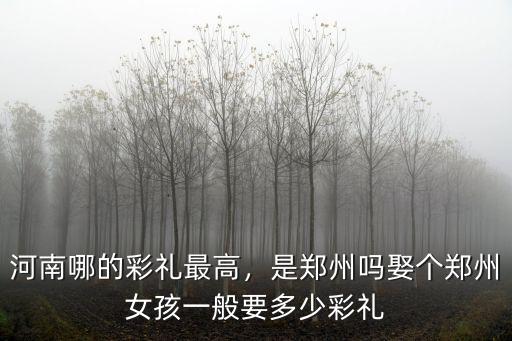 河南哪的彩禮最高，是鄭州嗎娶個鄭州女孩一般要多少彩禮