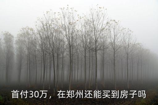 鄭州買房首付30萬買哪里,首付30萬能在鄭州哪里買房