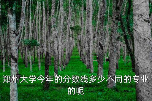 鄭州大學今年的分數線多少不同的專業的呢
