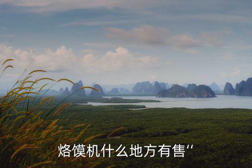 烙饃機什么地方有售‘‘