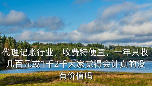 洛陽代理記賬費(fèi)用多少,代理記賬行業(yè)