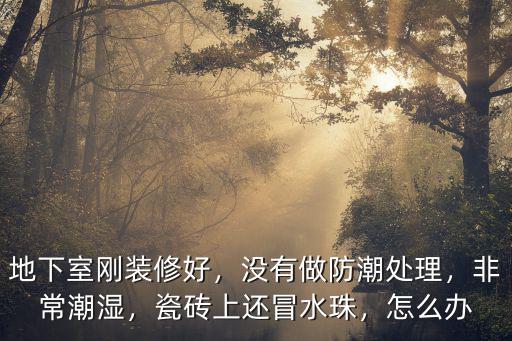 地下室剛裝修好，沒有做防潮處理，非常潮濕，瓷磚上還冒水珠，怎么辦