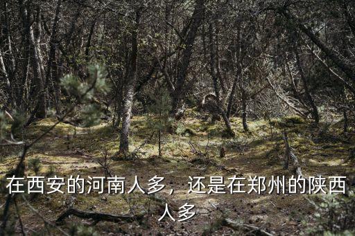 在西安的河南人多，還是在鄭州的陜西人多