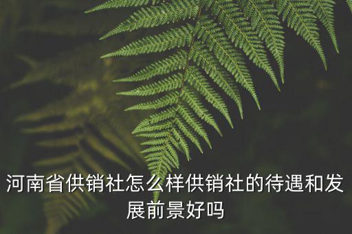 河南省錢幣公司工作怎么樣,河南省供銷社怎么樣