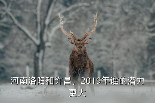 河南洛陽和許昌，2019年誰的潛力更大
