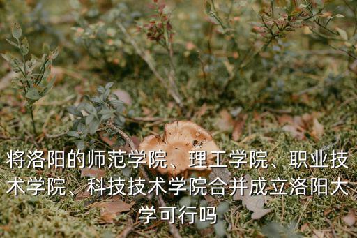 將洛陽的師范學院、理工學院、職業技術學院、科技技術學院合并成立洛陽大學可行嗎