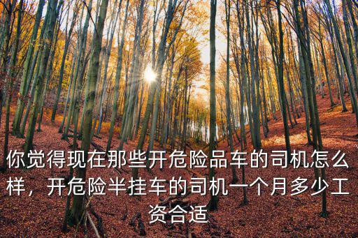 你覺得現(xiàn)在那些開危險品車的司機怎么樣，開危險半掛車的司機一個月多少工資合適