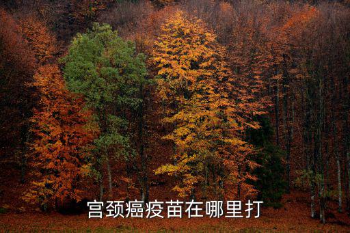 宮頸癌疫苗在哪里打