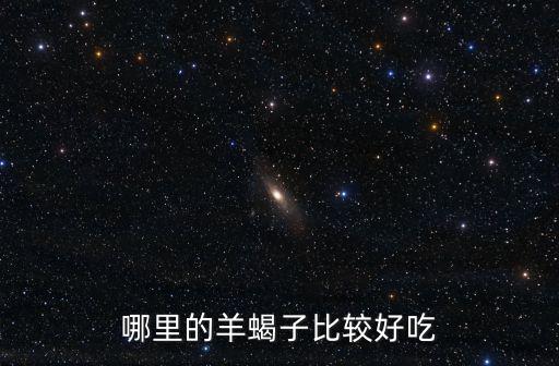 哪里的羊蝎子比較好吃