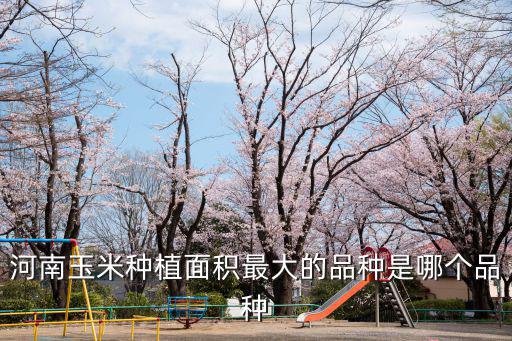 河南玉米種植面積最大的品種是哪個品種