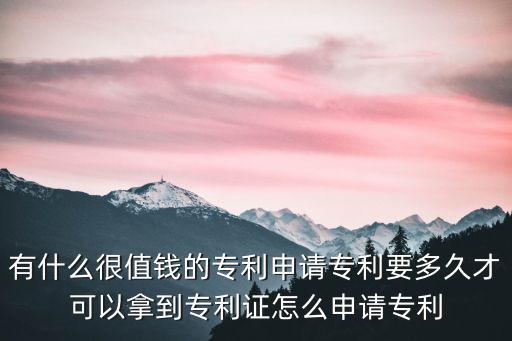 有什么很值錢的專利申請專利要多久才可以拿到專利證怎么申請專利