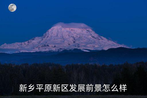 新鄉平原新區發展前景怎么樣
