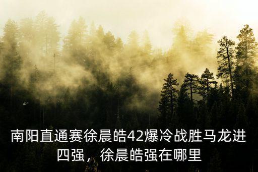 南陽乒乓奧運直通賽門票多少錢,南陽直通賽徐晨皓4