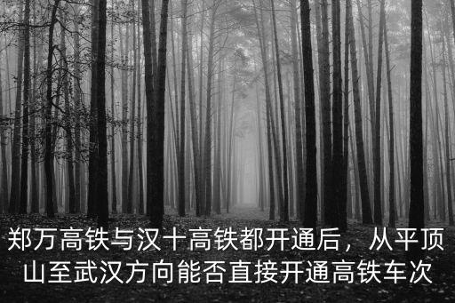 平頂山到駐馬店高鐵怎么不通鐵,平頂山現在有高鐵嗎