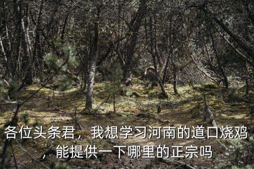 各位頭條君，我想學習河南的道口燒雞，能提供一下哪里的正宗嗎