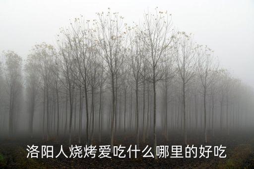 洛陽人燒烤愛吃什么哪里的好吃