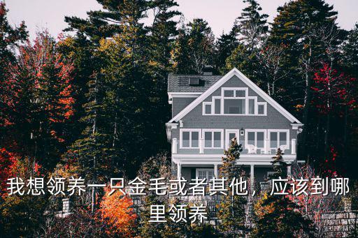 河南安陽(yáng)去哪里領(lǐng)養(yǎng)寵物,可以去哪里領(lǐng)養(yǎng)一只狗狗