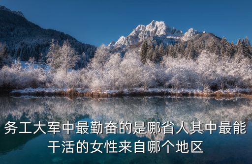 河南大軍是哪里人,務工大軍中最勤奮的是哪省人
