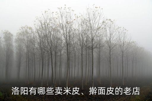 洛陽(yáng)哪里有送米皮涼皮的,洛陽(yáng)有哪些賣(mài)米皮