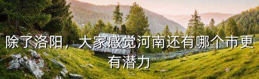 除了洛陽，大家感覺河南還有哪個市更有潛力