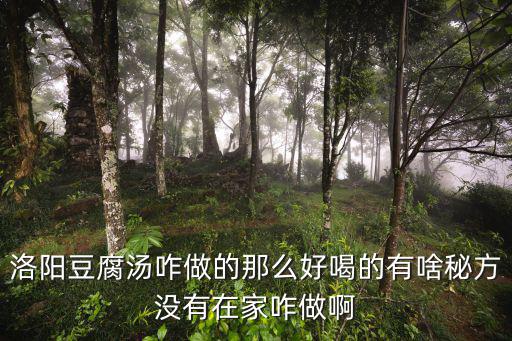 洛陽三菌湯怎么做,洛陽豆腐湯咋做的那么好喝的