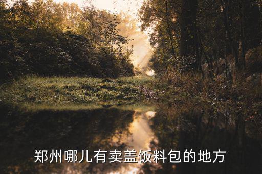 鄭州哪兒有賣蓋飯料包的地方
