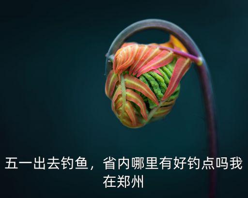 五一出去釣魚，省內(nèi)哪里有好釣點(diǎn)嗎我在鄭州