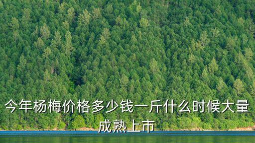 今年楊梅價格多少錢一斤什么時候大量成熟上市