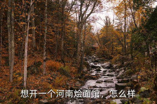 想開一個河南燴面館，怎么樣