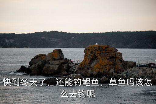 快到冬天了，還能釣鯉魚，草魚嗎該怎么去釣呢