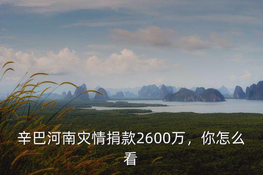 辛巴捐給河南災(zāi)區(qū)多少錢,辛巴河南災(zāi)情捐款2600萬(wàn)