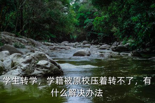 河南新鄉小學轉學轉不了學籍怎么辦,孩子轉不了學籍