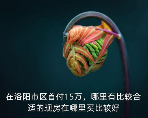 洛陽市買房在哪里看好買點,洛陽農(nóng)村人適合在哪里買房