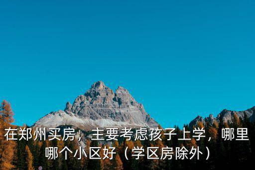 在鄭州買房，主要考慮孩子上學(xué)，哪里哪個小區(qū)好（學(xué)區(qū)房除外）