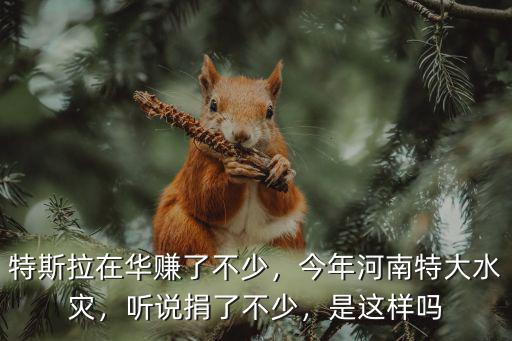 特斯拉在華賺了不少，今年河南特大水災，聽說捐了不少，是這樣嗎