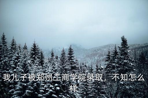 鄭州工商大學(xué)怎么樣,鄭州工商學(xué)院怎么樣