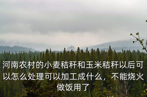 河南農(nóng)村的小麥秸稈和玉米秸稈以后可以怎么處理可以加工成什么，不能燒火做飯用了