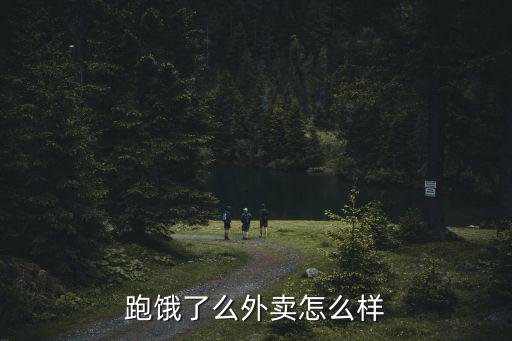 跑餓了么外賣怎么樣