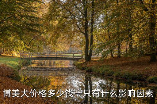 鄭州博美價格大概多少錢一只,博美犬價格多少錢一只